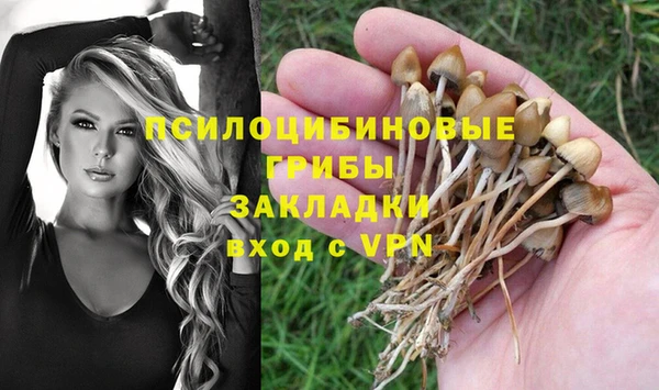 MDMA Горнозаводск