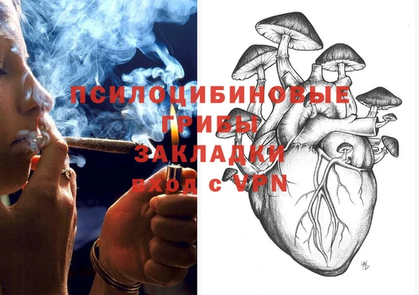MDMA Горнозаводск