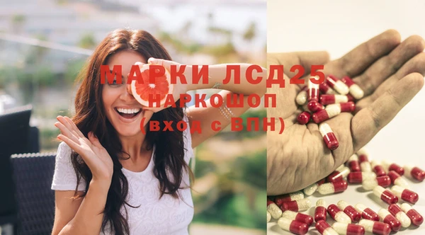 стаф Горно-Алтайск