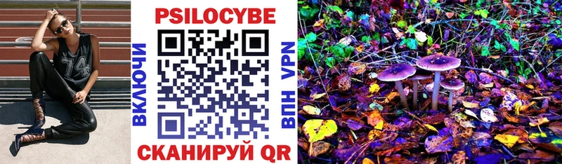 Купить закладки Порхов Галлюциногенные грибы ЛСД